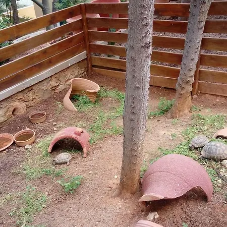 Peaceful Studio Kokkini Hani
